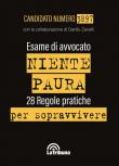 Esame di avvocato. Niente paura. 28 regole pratiche per sopravvivere - Candidato Numero 3897, Danilo Zanelli 9788829100712