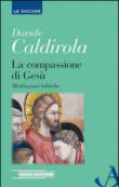 La compassione di Gesù. Meditazioni bibliche - Davide Caldirola 9788851416867