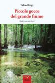 Piccole gocce del grande fiume - Brogi Fabio 9788856797473