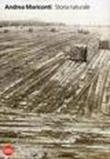 Andrea Mariconti. Storia naturale - Flaminio Gualdoni, Emanuele Beluffi 9788857216249