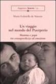 Viaggio nel mondo del puerperio. Mamma e papà tra consapevolezza ed emozione - De Simone, M. Gabriella 9788879997188