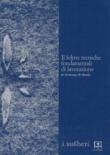 Il feltro. Tecniche fondamentali di lavorazione - G. Morandini, Cristiana Di Nardo 9788890175817