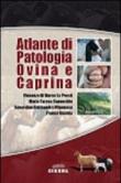 Atlante di patologia ovina e caprina -  9788890426148