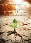 Orme antiche, a nord del futuro - Michele Cavejari 9788891189431