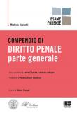Compendio di diritto penale. Parte generale - Michele Rossetti 9788891635013