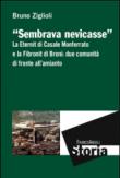 Sembrava nevicasse. La Eternit di Casale Monferrato e la Fibronit di Broni: due comunità di fronte all'amianto - Bruno Ziglioli 9788891750235