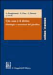 Che cosa è il diritto. Ontologie e concezioni del giuridico -  9788892105294