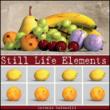 Still life elements. Ediz. illustrata - Rafanelli Antonio 9788893068574