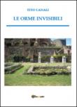 Le orme invisibili - Tito Canali 9788893216401