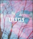 Tzimtzum. Ediz. italiana e inglese - Facchinetti Paolo 9788895059334