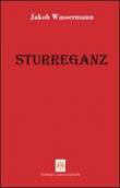 Sturreganz - Wassermann Jakob 9788895833019