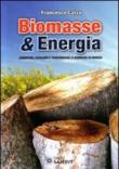 Biomasse & energia. Conoscere, scegliere e trasformare le biomasse in energia - Francesco Calza 9788895990514