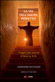 La via dell'amore perfetto. I vangeli come manuale di lavoro su di sé - Baccaglini Alessandro 9788896076675