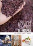 Assaggi di grappa. Per conoscerla, sceglierla e abbinarla - Maddalena Baldini 9788896923795