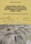 Tappeh Graziani, Sistan, Iran: stratigraphy, formation processes and chronology of a suburban site of Shahr-i Sokhta - Hossein Ali Kavosh, Massimo Vidale, Nashli Hassan Fazeli 9788897336884