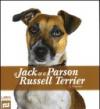 Il Jack & il Parson Russel Terrier. Ediz. illustrata