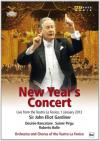 New Year's Concert 2013