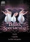 Léo Delibes - Ballet Spectacular Coppelia - Nicolae Moldoveanu (3 Dvd)