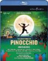 Adventures Of Pinocchio (The)