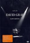 David Gray - Live In Slow Motion