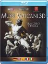 Musei Vaticani (3D) (Blu-Ray 3D)