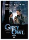 Grey Owl