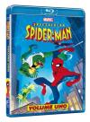 Spectacular Spider-Man - Stagione 01 (CE) (2 Blu-Ray)
