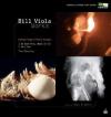 Bill Viola Works (3 Dvd+Libro)
